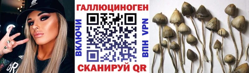 где продают   Камбарка  Галлюциногенные грибы ЛСД 